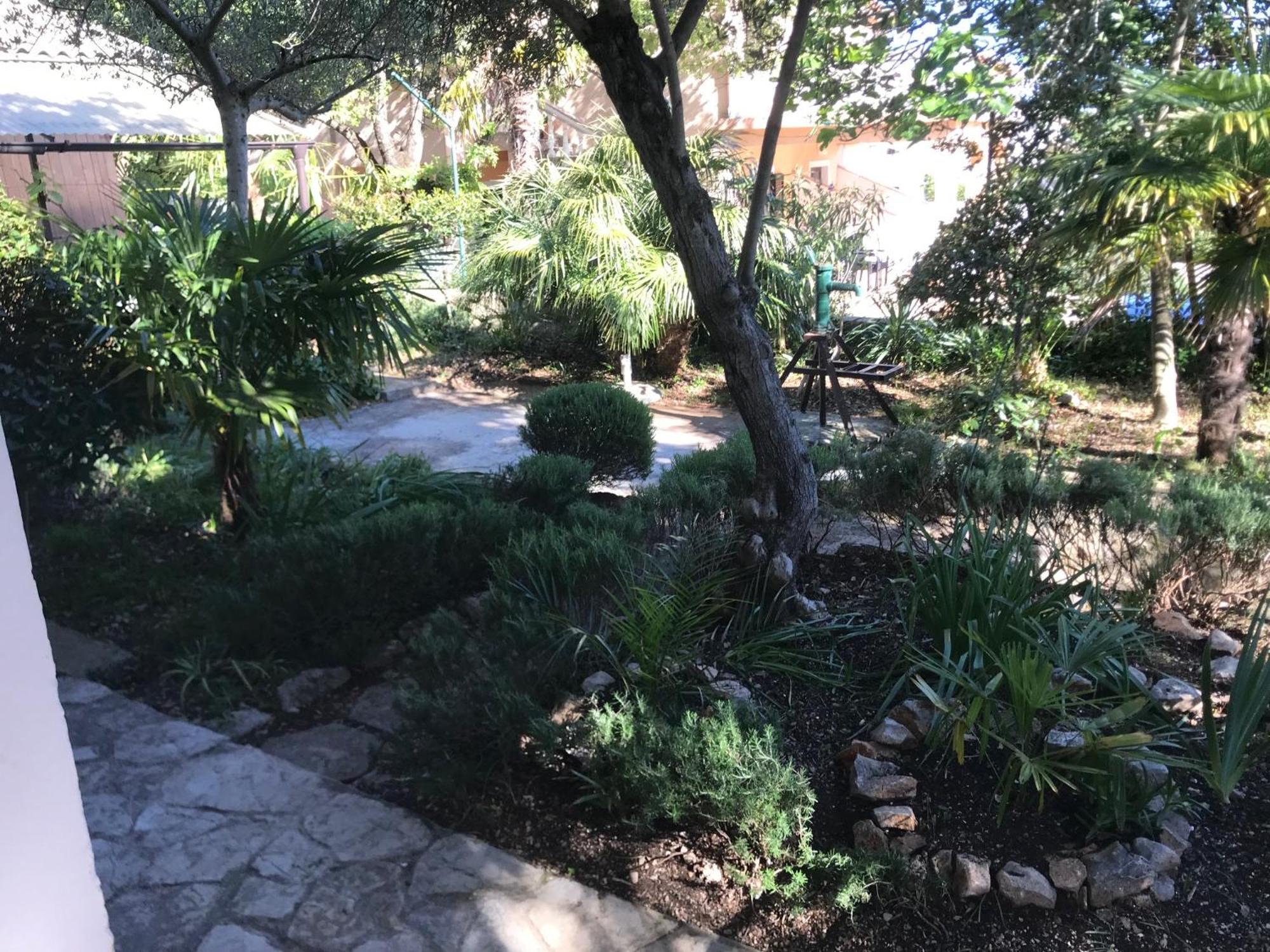 Krk Apartmani Pepina Pinezići Extérieur photo